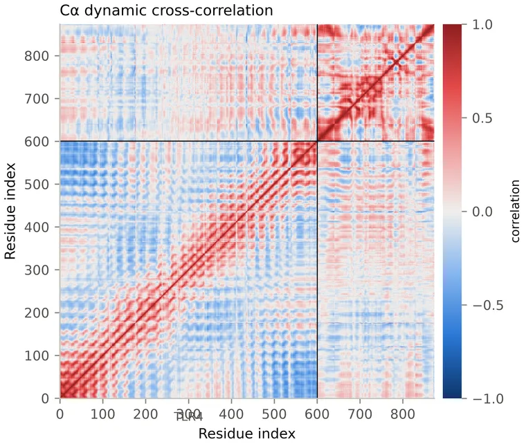Dynamic cross-correlation