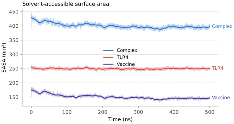 Solvent-accessible surface